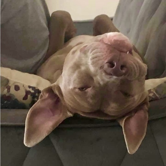 🫧🍄L.  I.  V.  E.🍄🫧 - Picture 10 of 14